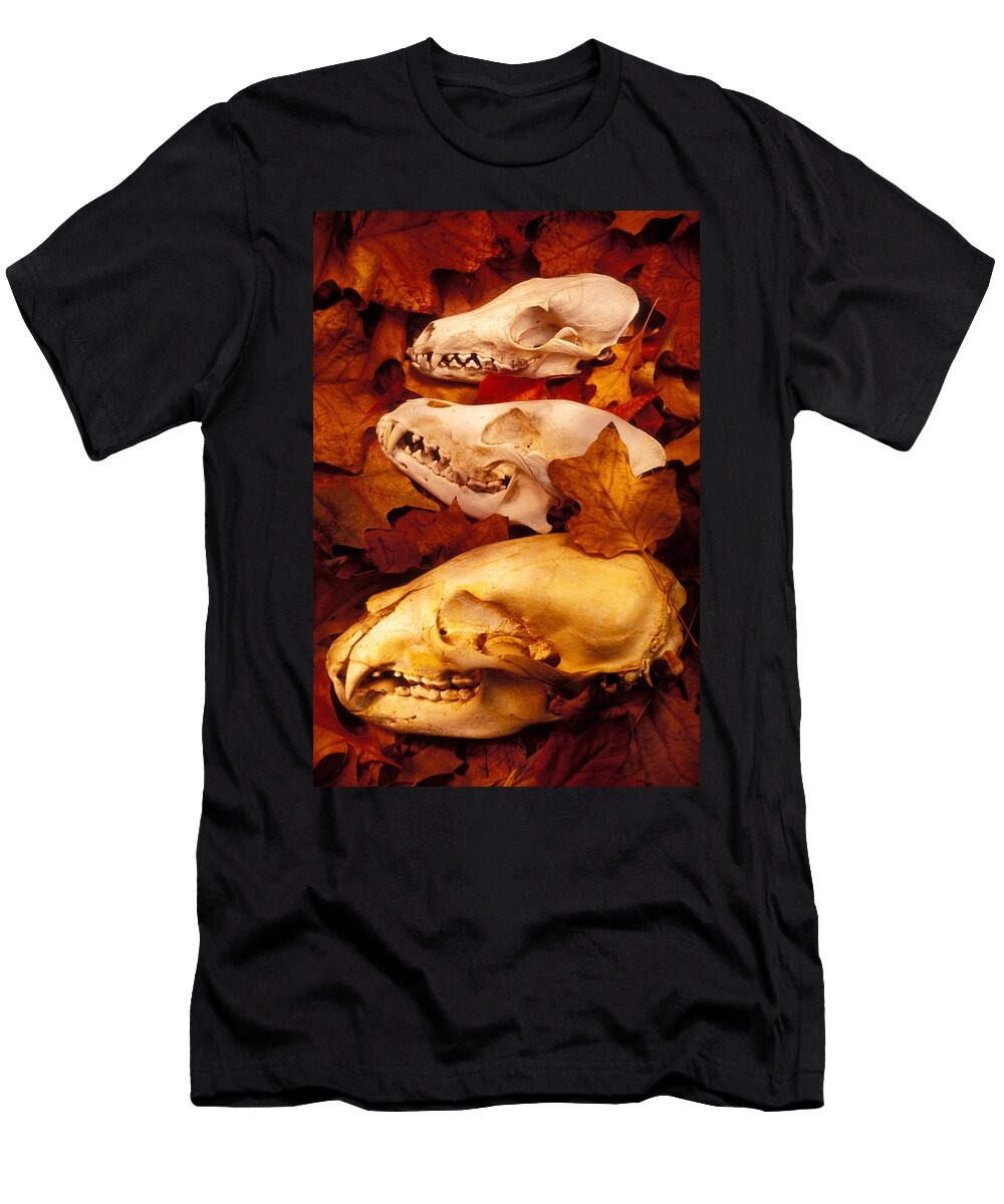 Three Animal Skulls Garry Gay T-Shirt