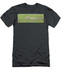 Three Coyotes Paul Freidlund T-Shirt