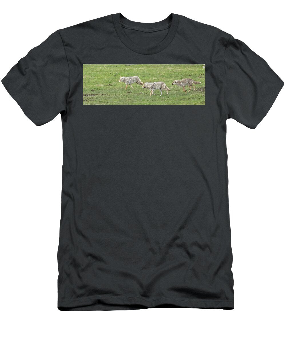 Three Coyotes Paul Freidlund T-Shirt