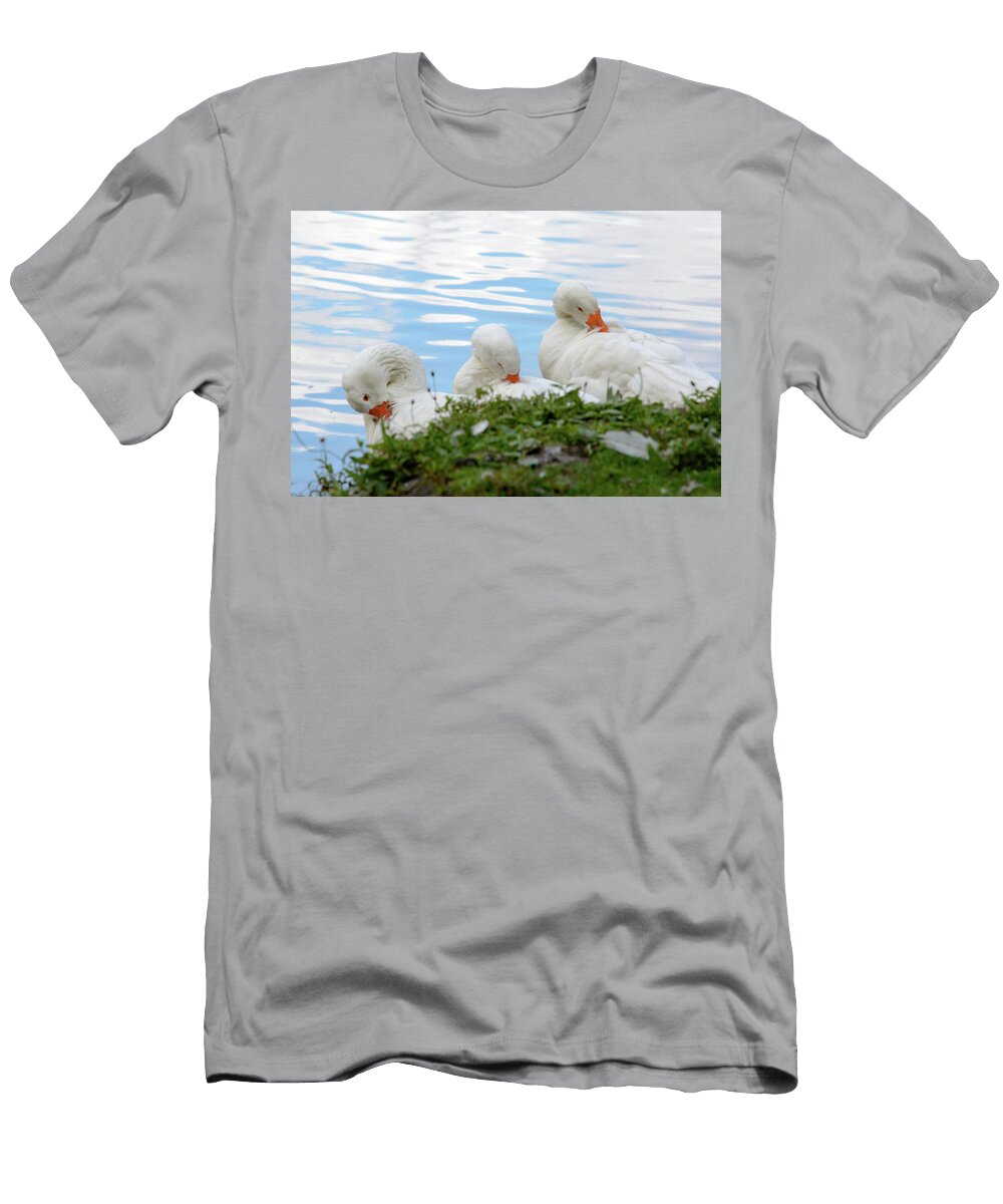 Three Cute White Ducks Cleaning Themselves Johan Ferret T-Shirt