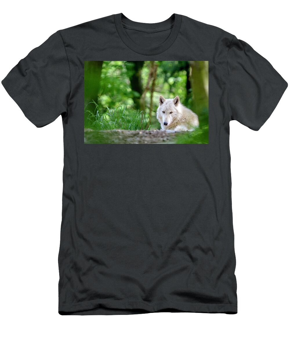Timber Wolf Phil Ferret T-Shirt