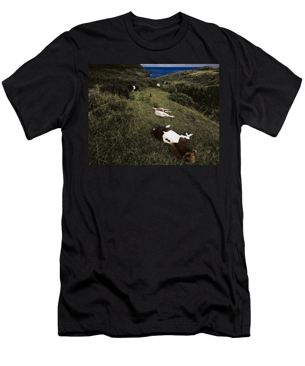 Tintagel View Julian Cook T-Shirt