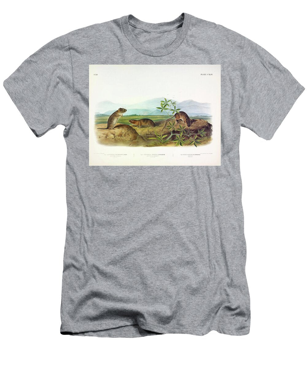 Townsends Arvicola Sharp Nosed Arvicola Bank Rat John James Audubon T-Shirt