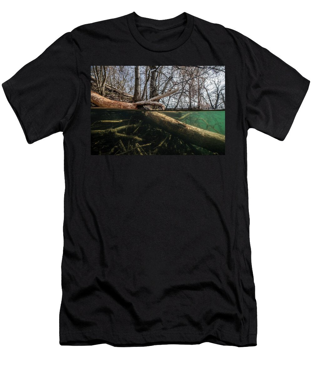 Tree Felled By Beaverswith Marks of Their Teeth on It Michel Roggo Natureplcom T-Shirt