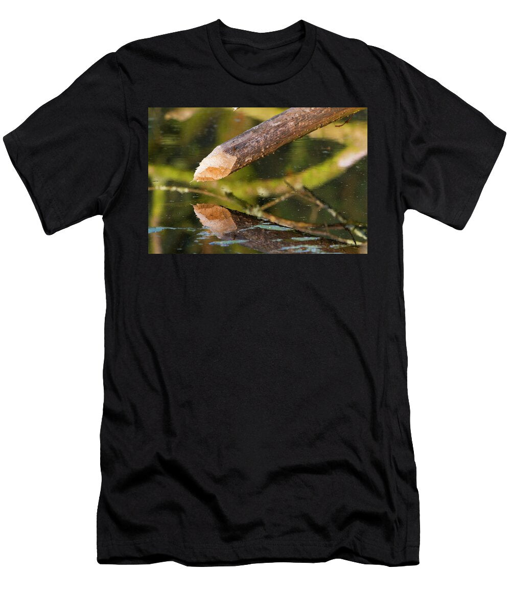 Tree Gnawed to a Point By Beavers Bevis Trust David Woodfall Natureplcom T-Shirt