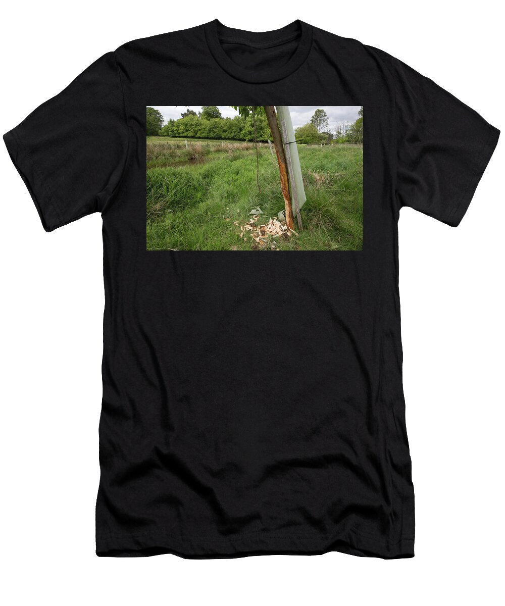 Tree Guard in Place to Protect Tree Saplings From Beaver Scotland the Big Picture Natureplcom T-Shirt