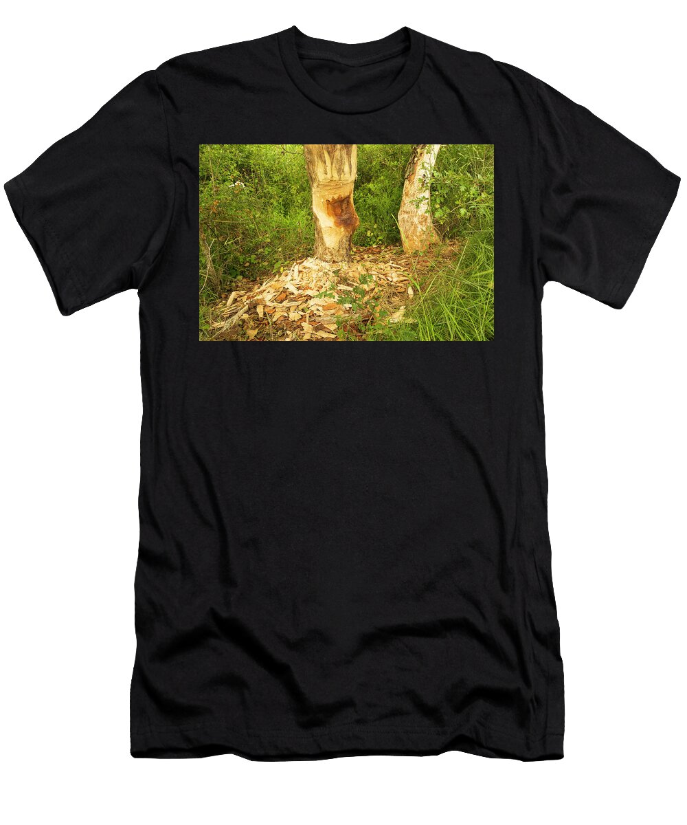 Tree Trunks Gnawed By European Beaver Alhama River Ebro Eduardo Blanco Natureplcom T-Shirt