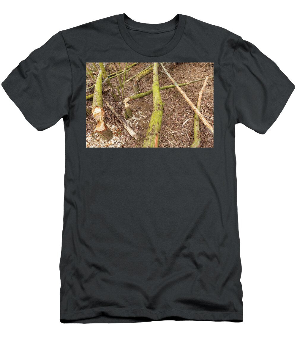 Trees Felled By European Beaver Along Alhama River Ebro Eduardo Blanco Natureplcom T-Shirt