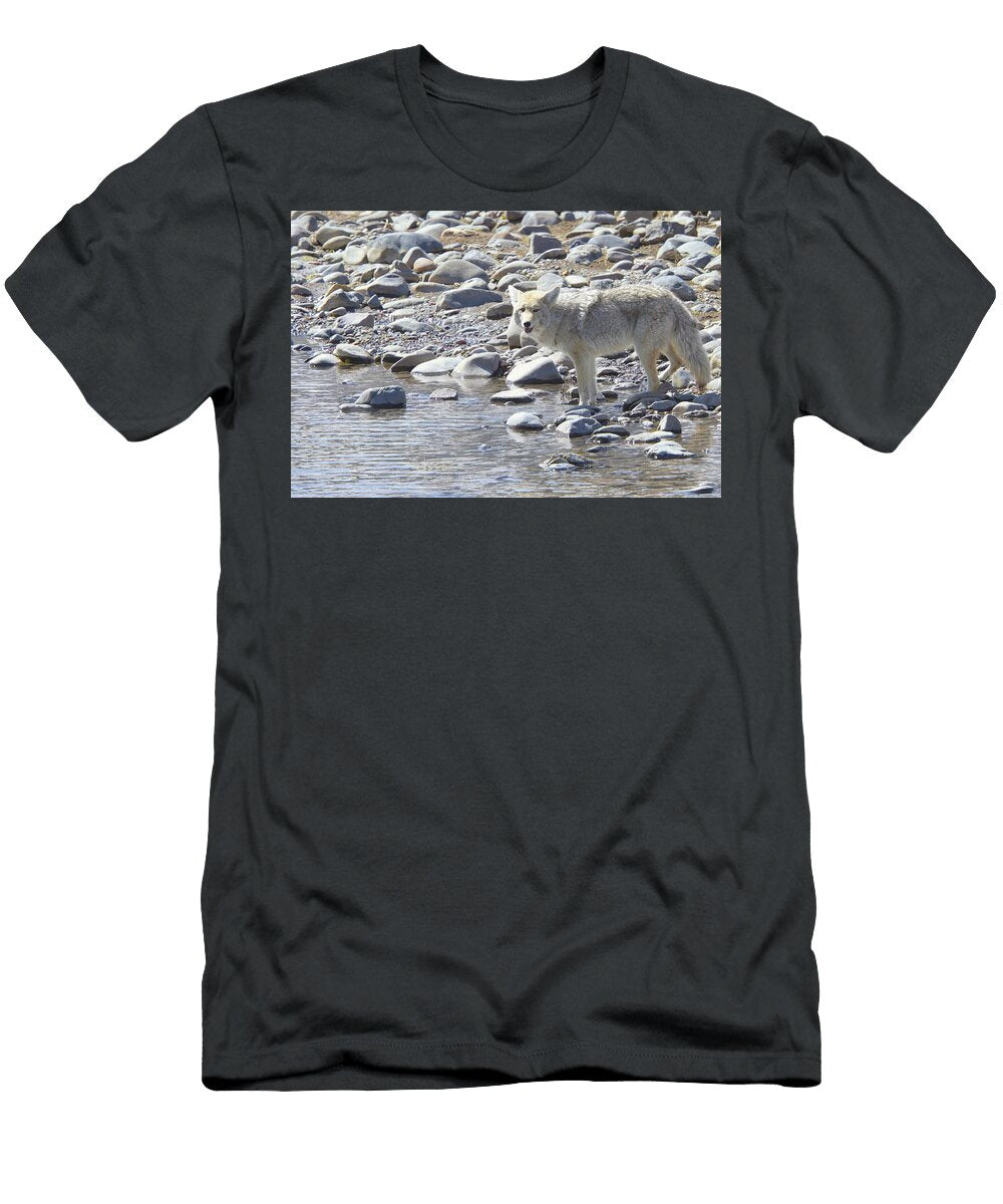 Tripod 2025 Isabella Smedley Nature T-Shirt