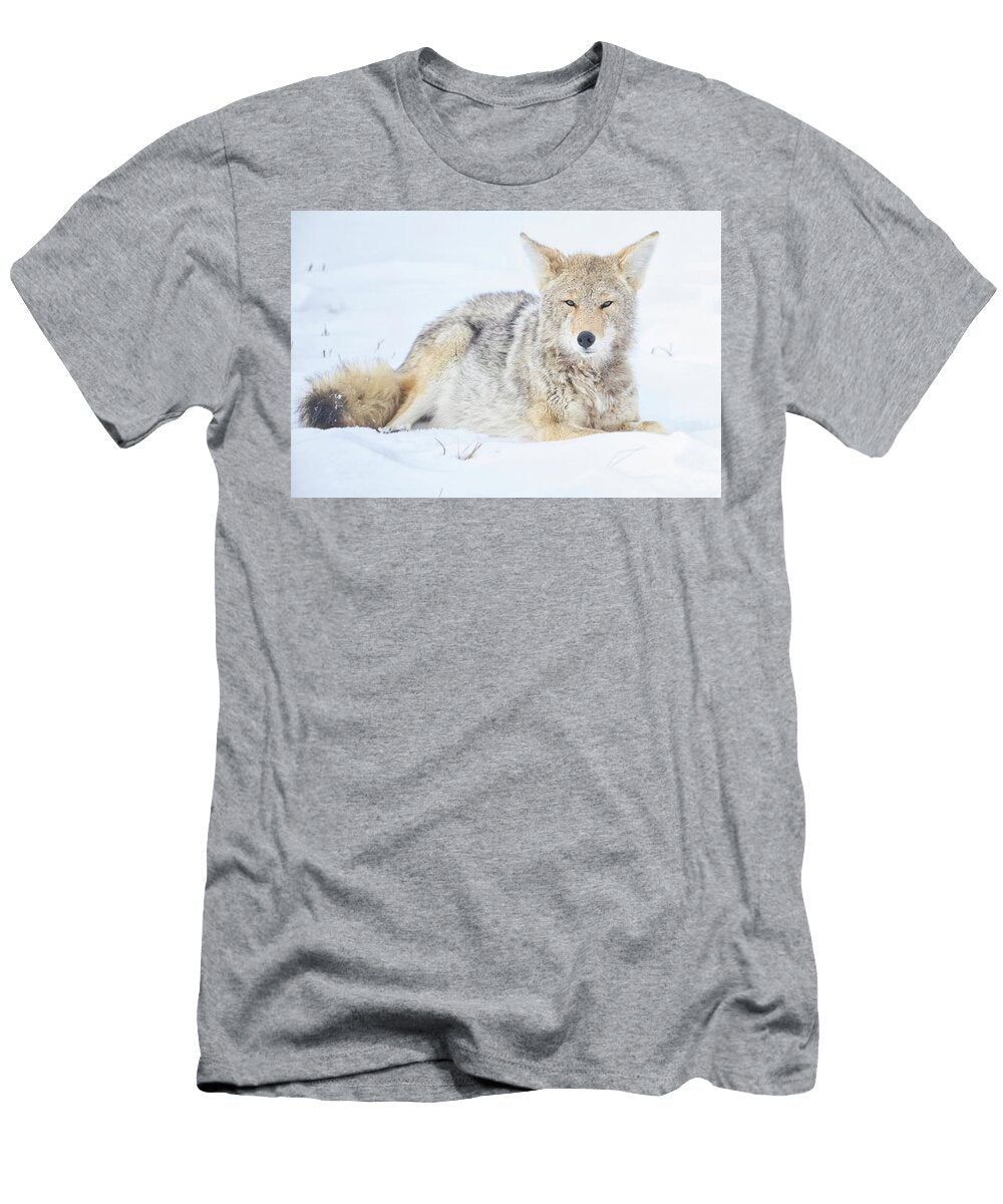 Tripod Limpy Chester Yellowstone Coyote Laying in Snow 2026 Isabella Smedley Nature T-Shirt