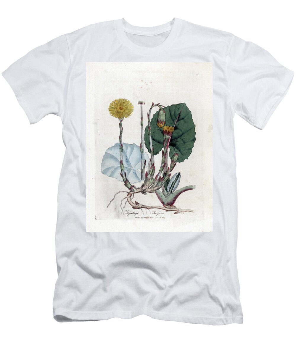 Tuslage or No Donkey Coltsfoot Tussilago Fara James Sowerby T-Shirt