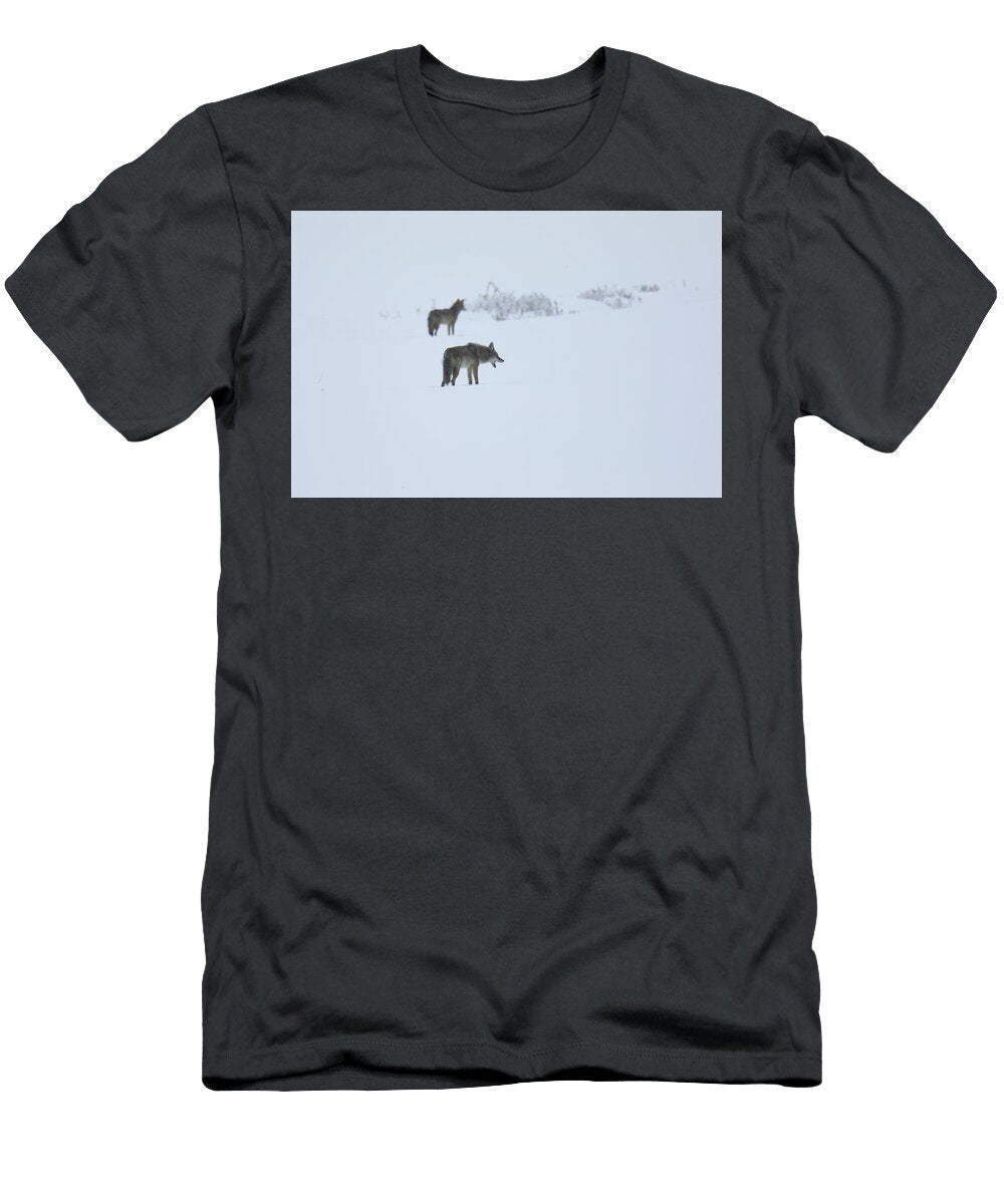 Two Coyotes in the Cold Snow Jeff Swan T-Shirt