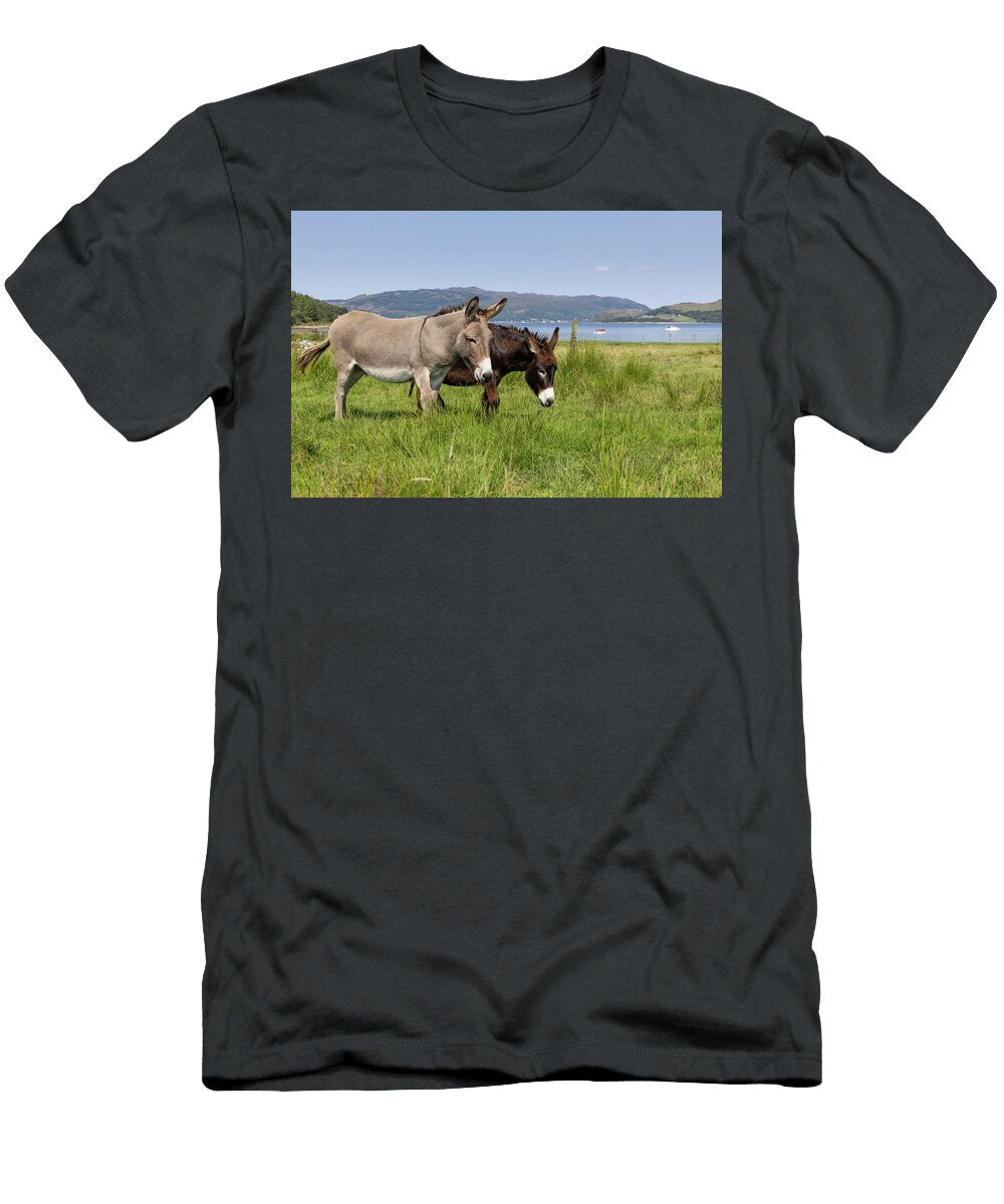 Two Donkeys Grazing on Grassland to Help with Conservation Scotland the Big Picture Natureplcom T-Shirt