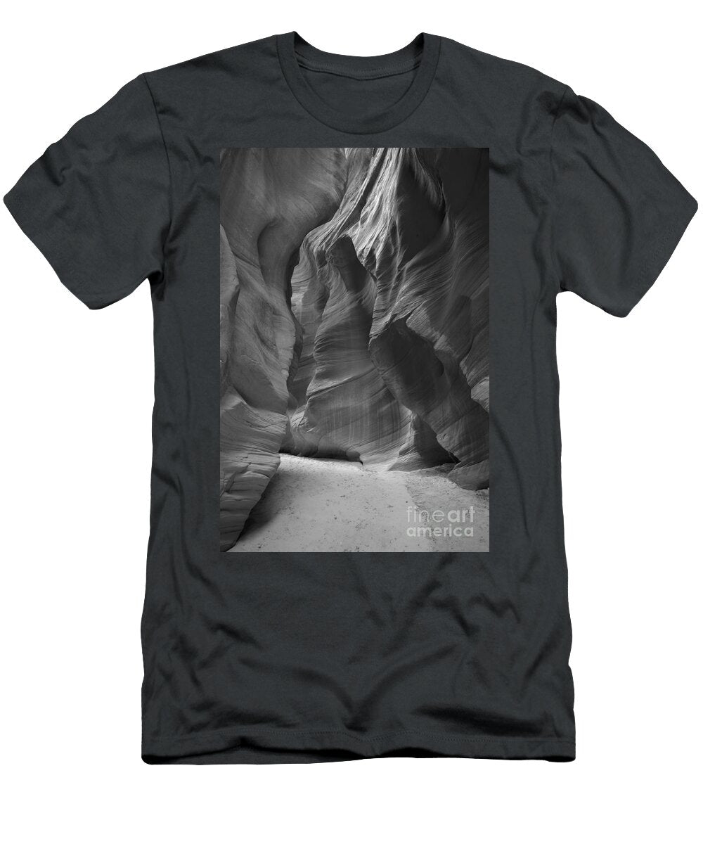 Utah Sculpture Adam Jewell T-Shirt
