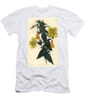 Variety of Evening Primrose or Grass with Donkeys Evening Primrose Oenothera Fruticosa Subsp Sydenham Teast Edwards T-Shirt