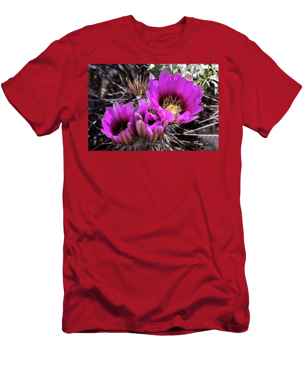 Vibrant Desert Hedgehog Blooms Cathy Franklin T-Shirt