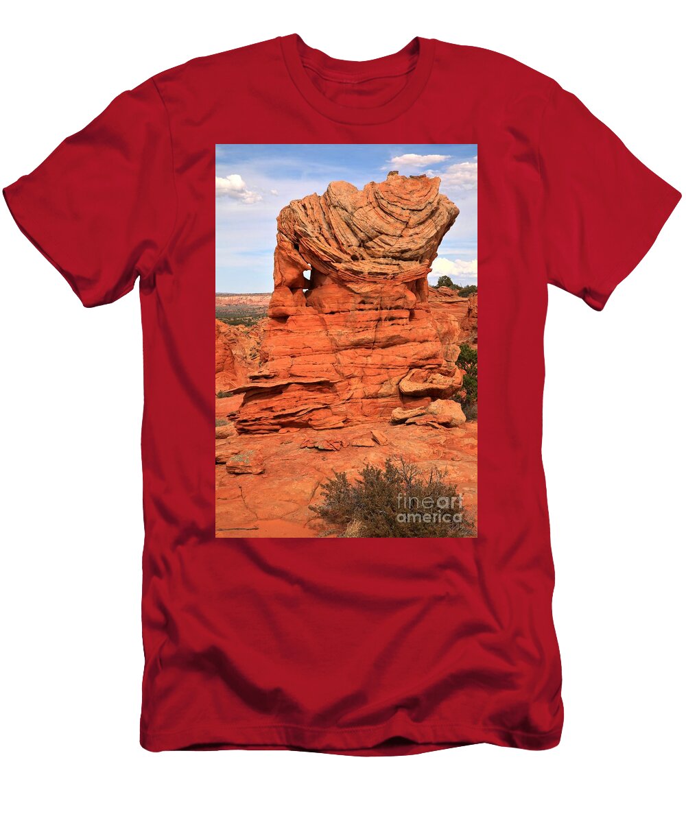 Warrior in the Desert Adam Jewell T-Shirt
