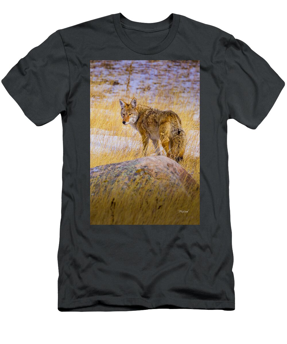 Wary and Weary Fred J Lord T-Shirt