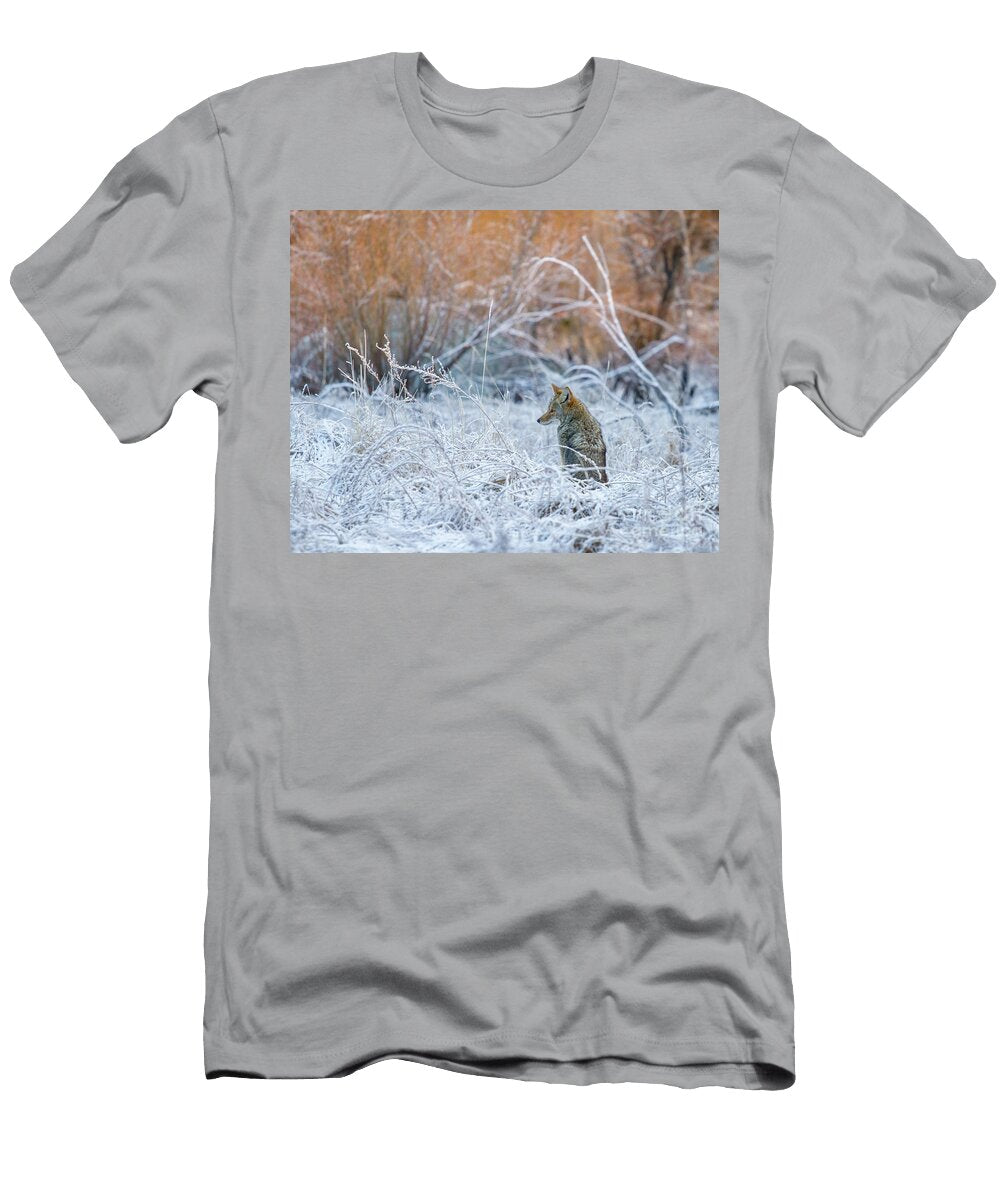 Watchful Eye Anthony Michael Bonafede T-Shirt