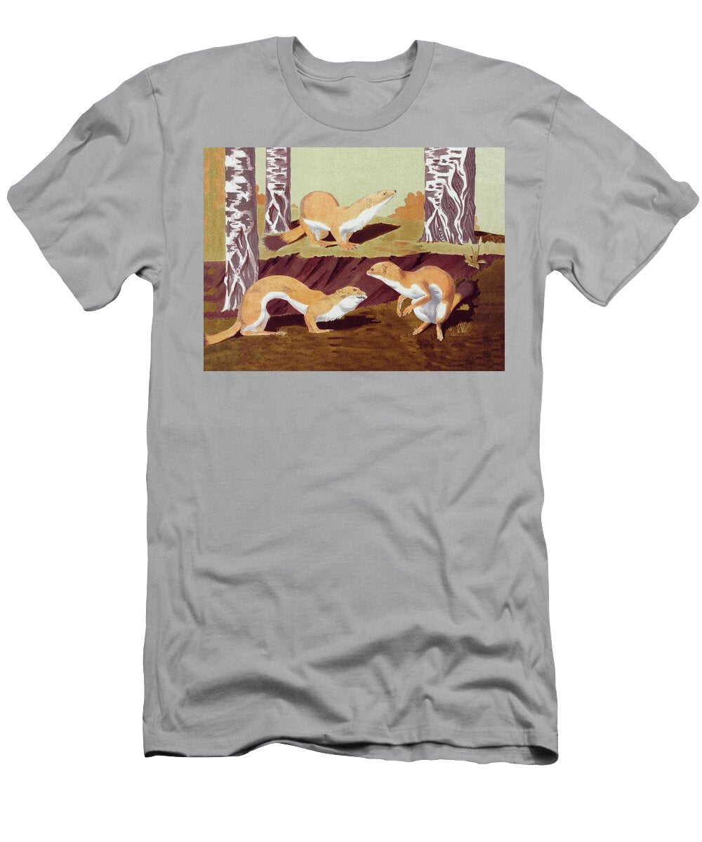 Weasel Animal Vintage Print Timeless Gallery T-Shirt