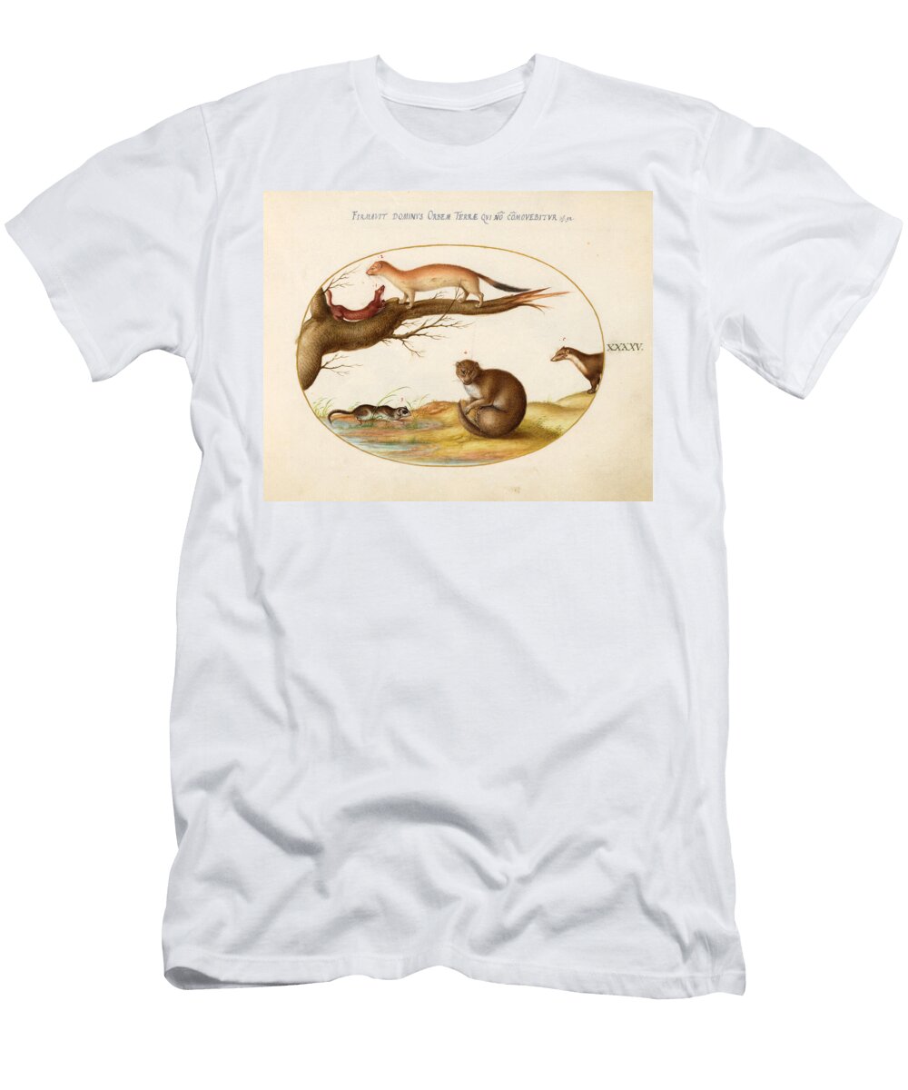Weasels a Ferret and a Nut Mouse Joris Hoefnagel T-Shirt