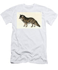 West American Bushy Tailed Coyote Colour Engraving After a 19th Century Illustration American School T-Shirt