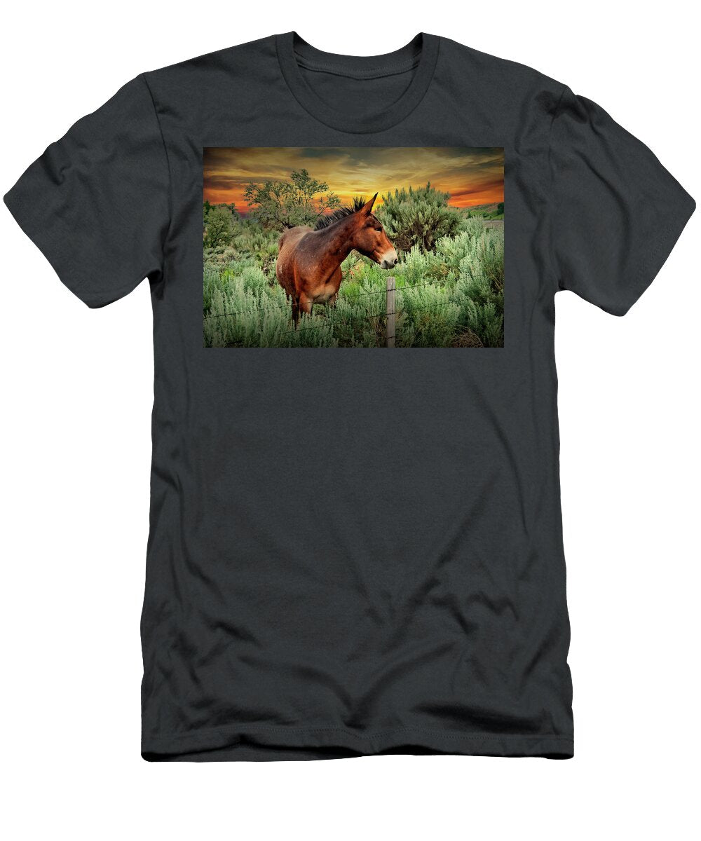 Western Mule At Sunset in a Pasture Randall Nyhof T-Shirt