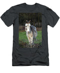 White and Grey Donkey Wareham Dorset Loren Dowding T-Shirt