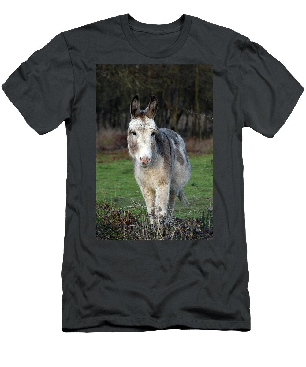 White and Grey Donkey Wareham Dorset Loren Dowding T-Shirt