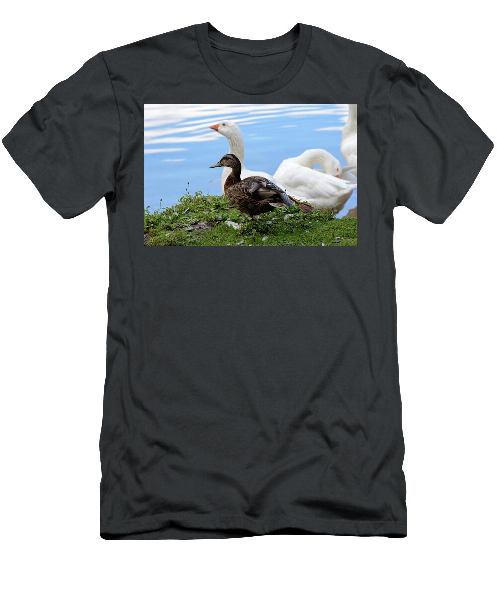 White Geese with a Duck At a Pond Johan Ferret T-Shirt