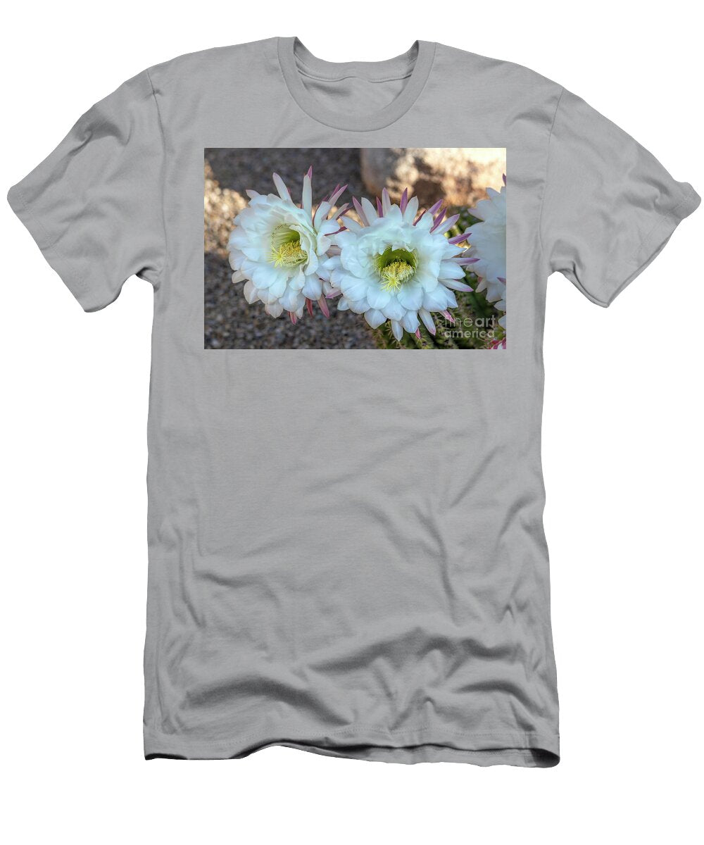 White Hedgehog Cactus Flowers 01 Elisabeth Lucas T-Shirt