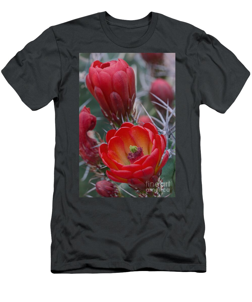 White Sands Claret Cup Cactus Kenneth M Highfill T-Shirt