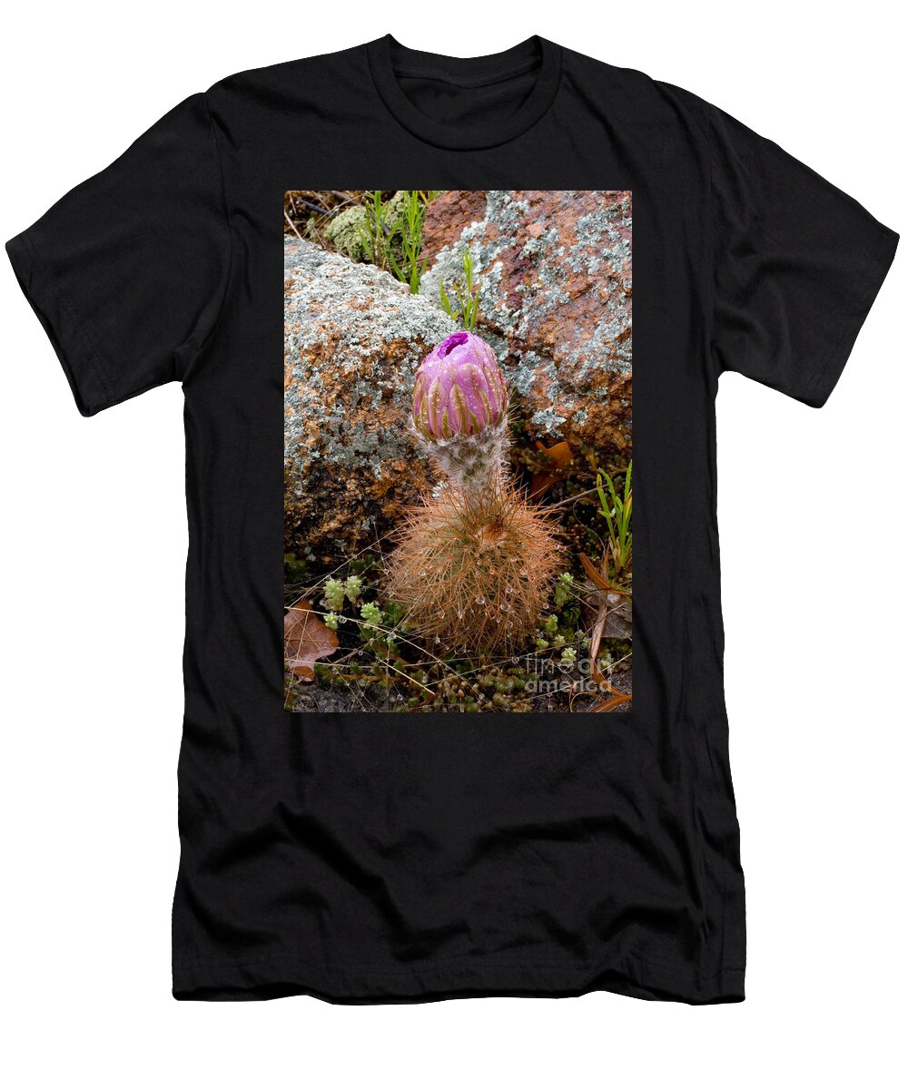 Wichita Mountains Hedgehog Cactus Gregory G Dimijian T-Shirt