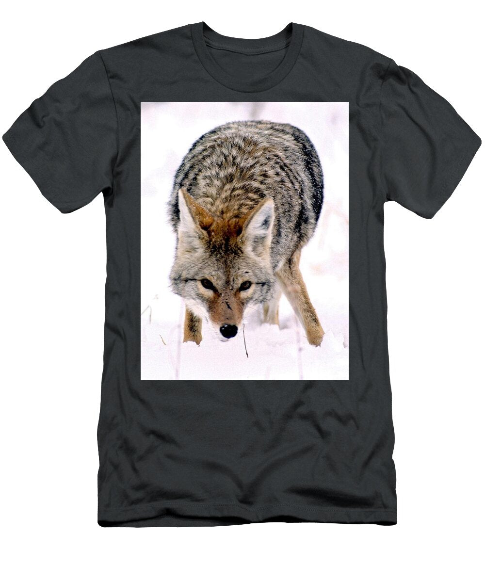 Wild Coyote in Grand Teton National Park Wyoming Nps T-Shirt