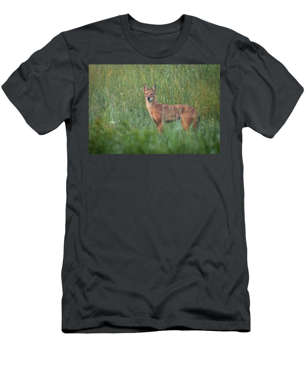 Wild Coyote in Misty Grassland Dan Fearing T-Shirt