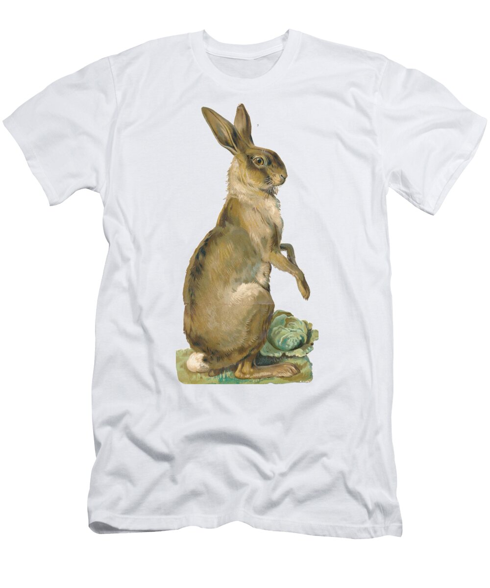 Wild Hare Reinvintaged T-Shirt