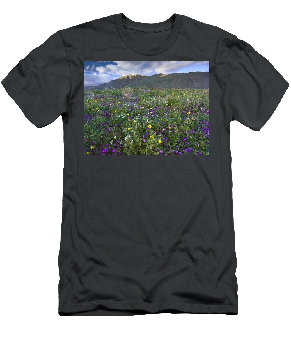 Wildflowers Carpeting the Ground Tim Fitzharris T-Shirt