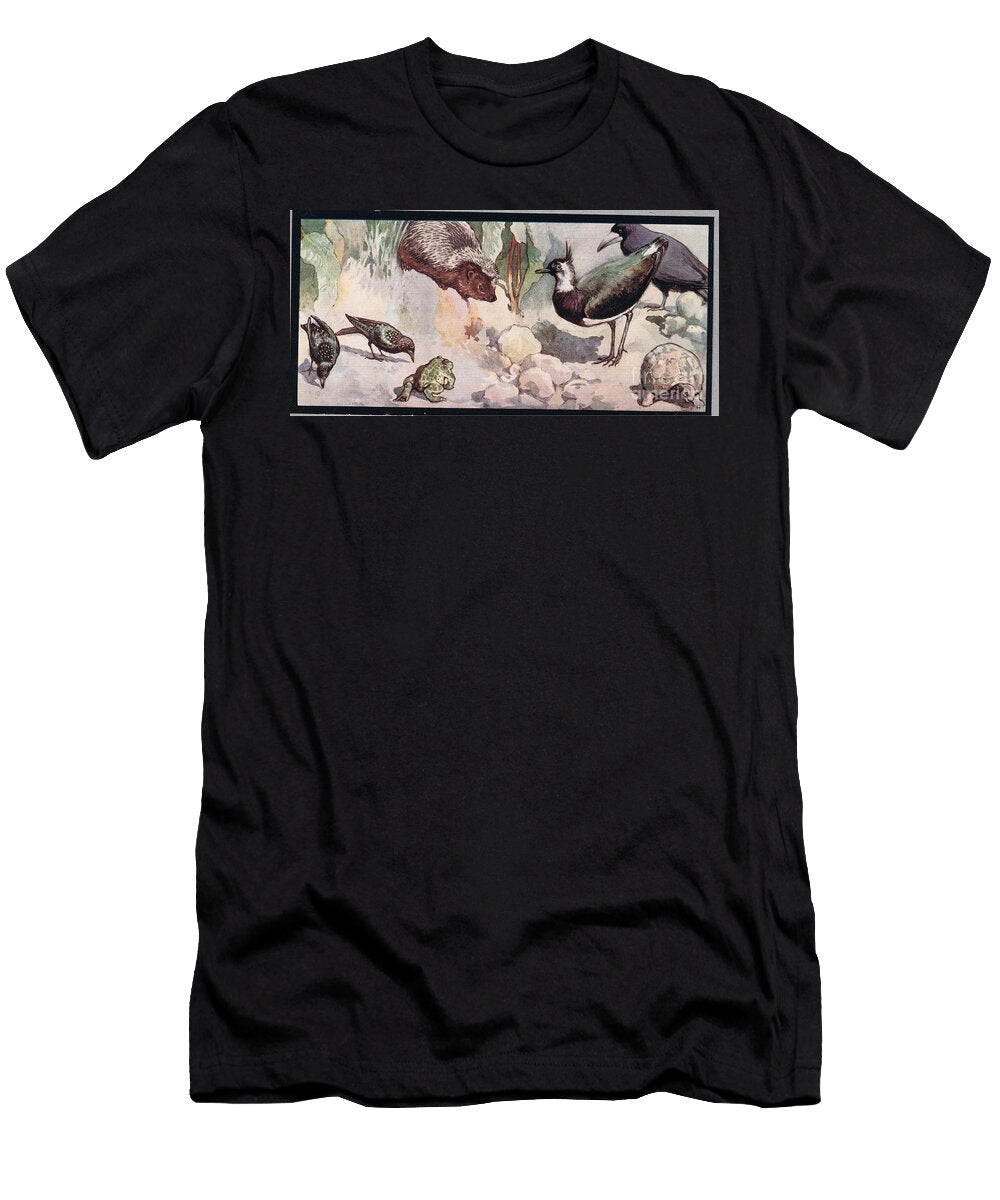 Wildlife Illustration From Helpers Without Hands By Gladys Davidson Published in 1919 John Edwin Noble T-Shirt