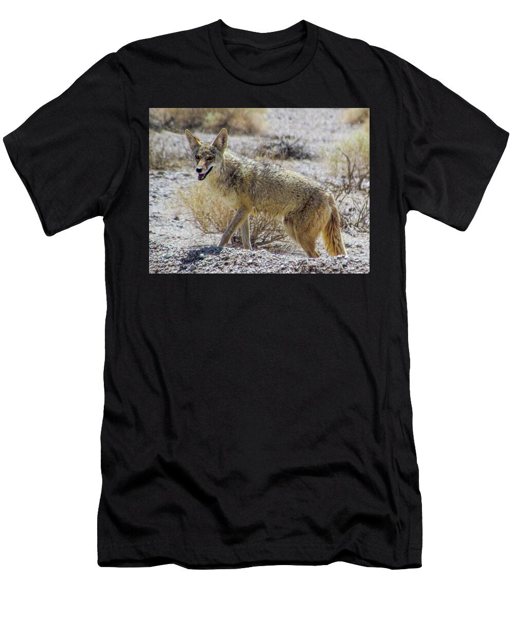 Wile E in the Desert Dianne Milliard T-Shirt