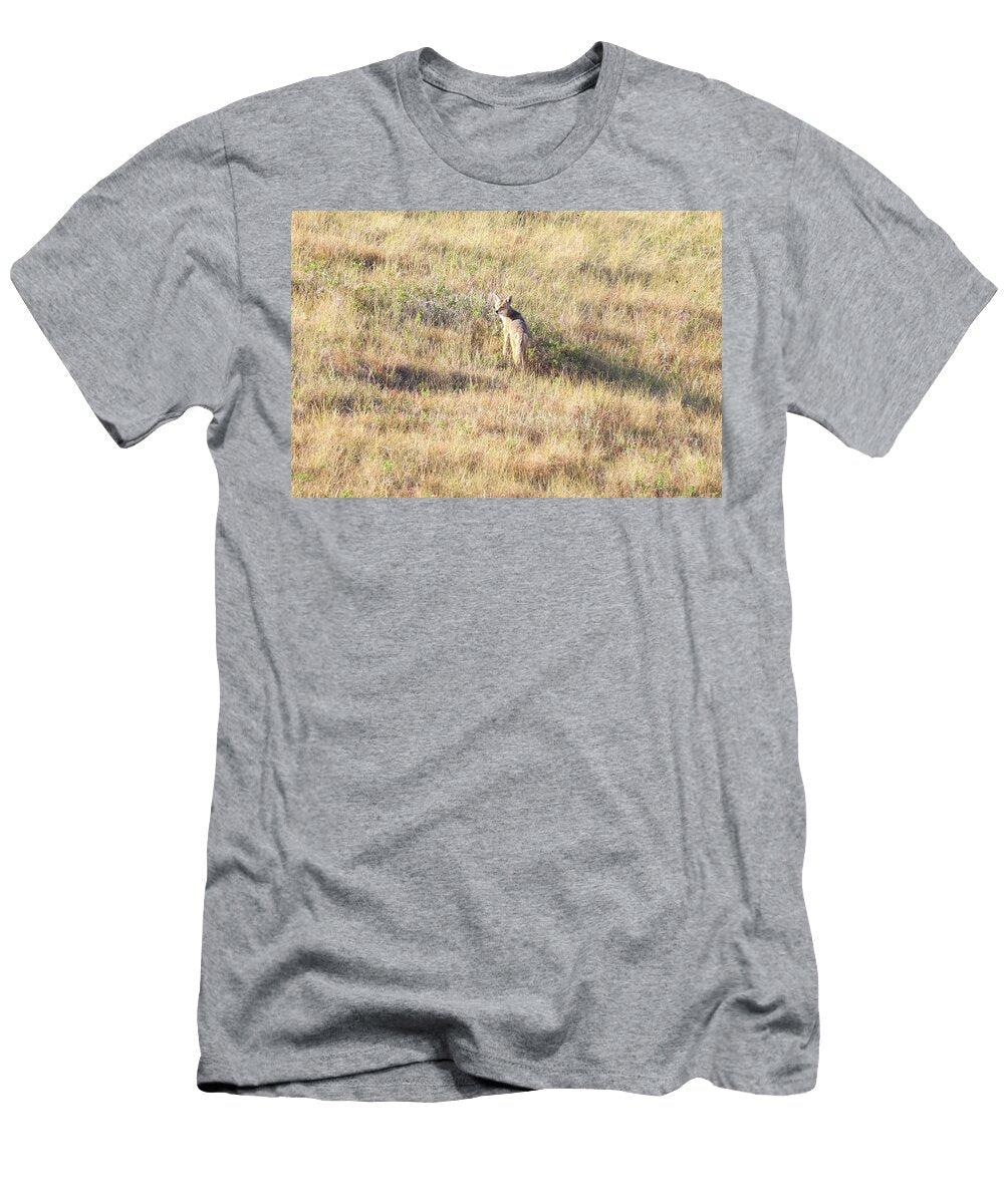Wily Coyote Jeff Swan T-Shirt