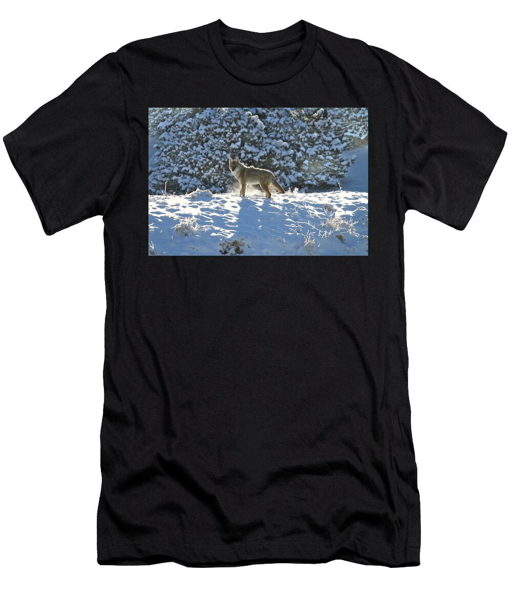 Winter Coyote Joseph King T-Shirt