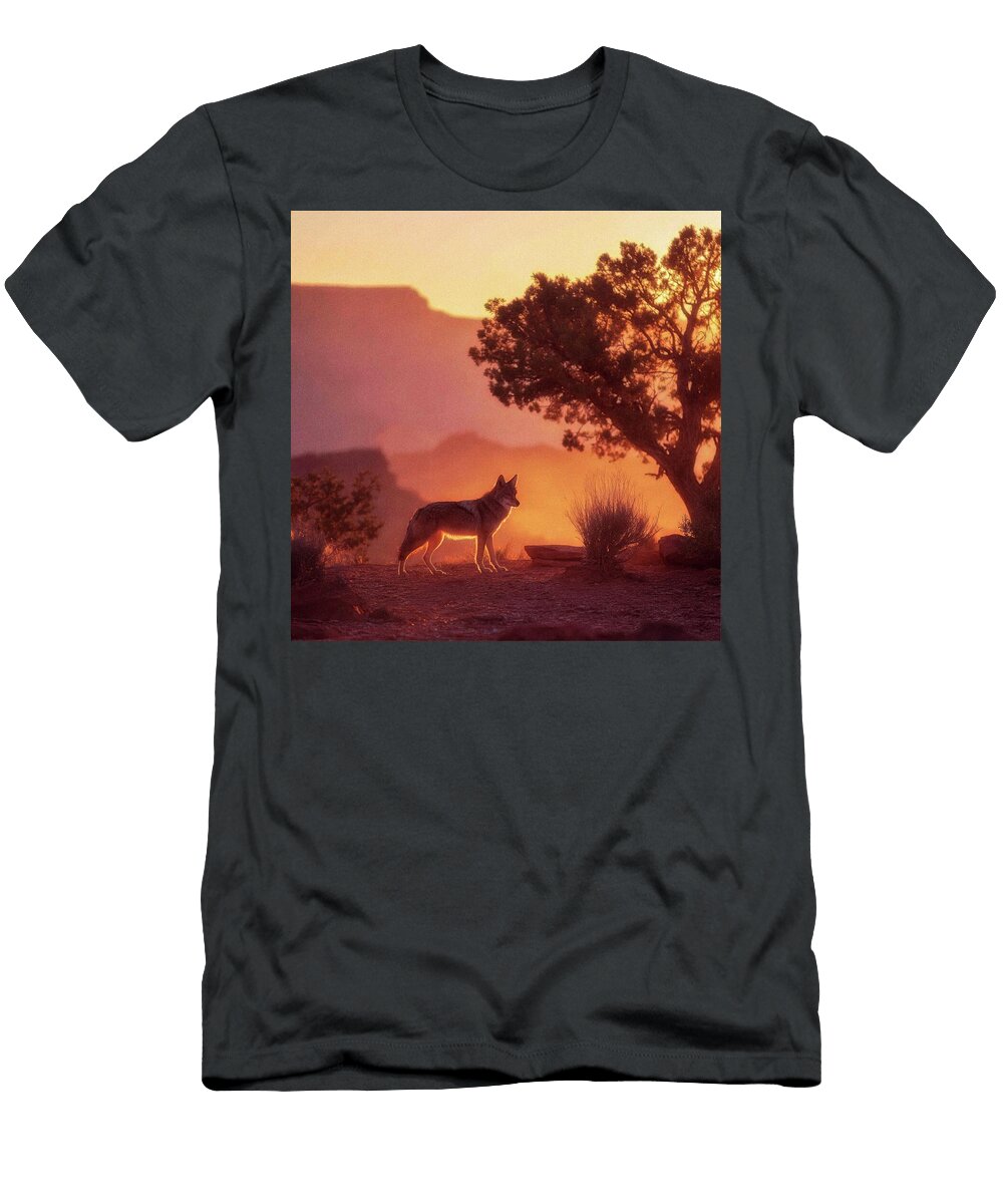 Wolf At Sunset in Desert Esoterica Art Agency T-Shirt