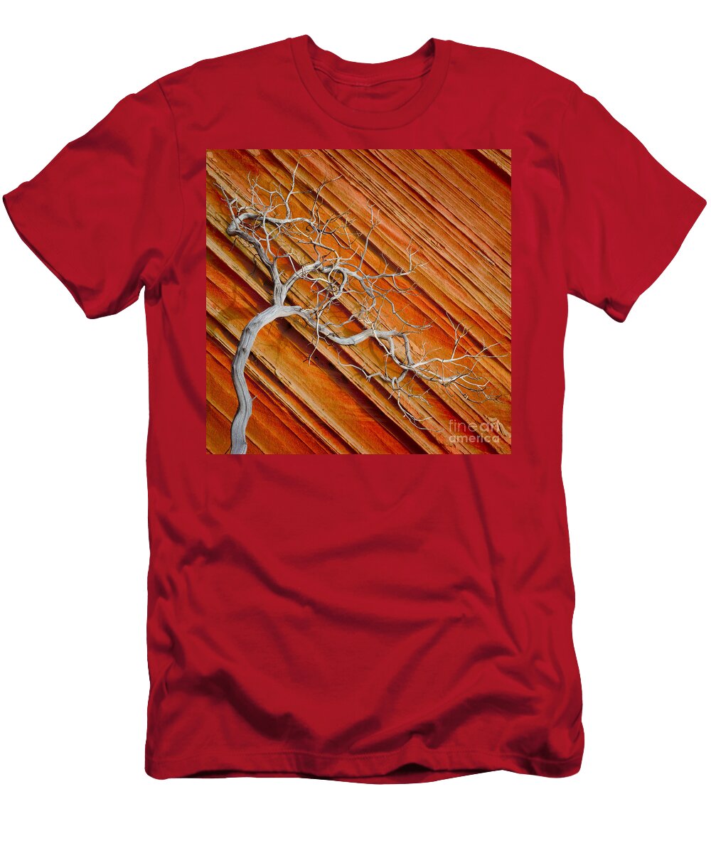 Wood and Stone Inge Johnsson T-Shirt