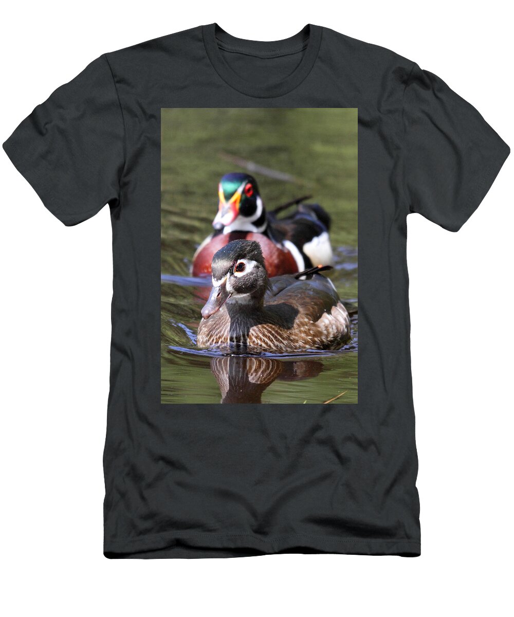 Wood Ducks At Beaver Lake Stanley Park Vancouver Canada Pierre Leclerc T-Shirt