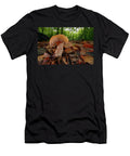 Wood Hedgehog an Edible Mushroom Among Leaf Litter in Nick Upton Natureplcom T-Shirt