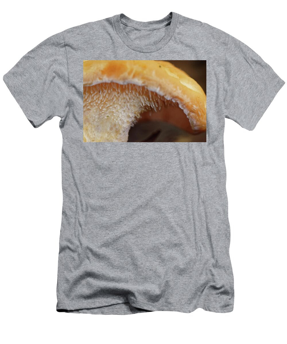 Wood Hedgehog an Edible Mushroom with Distinctive Spore Nick Upton Natureplcom T-Shirt