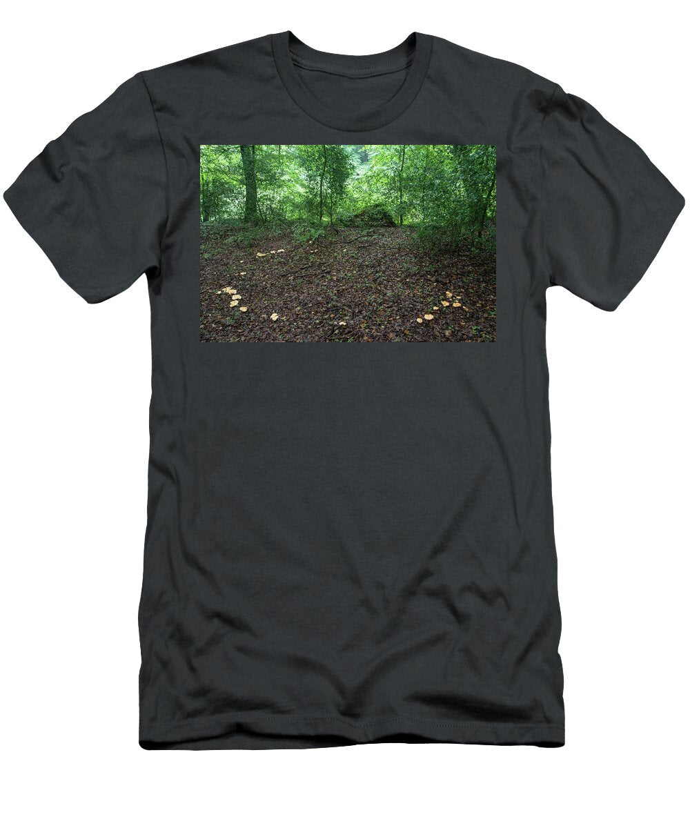 Wood Hedgehog Fungus Ring in Deciduous Woodland Surrey Adrian Davies Natureplcom T-Shirt