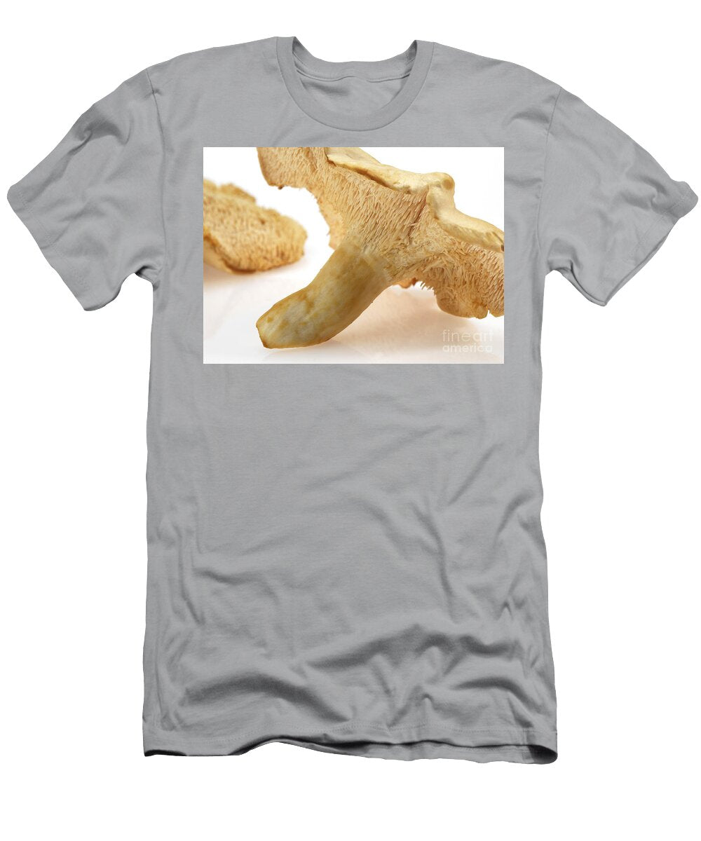 Wood Hedgehog Mushroom Gerard Lacz T-Shirt