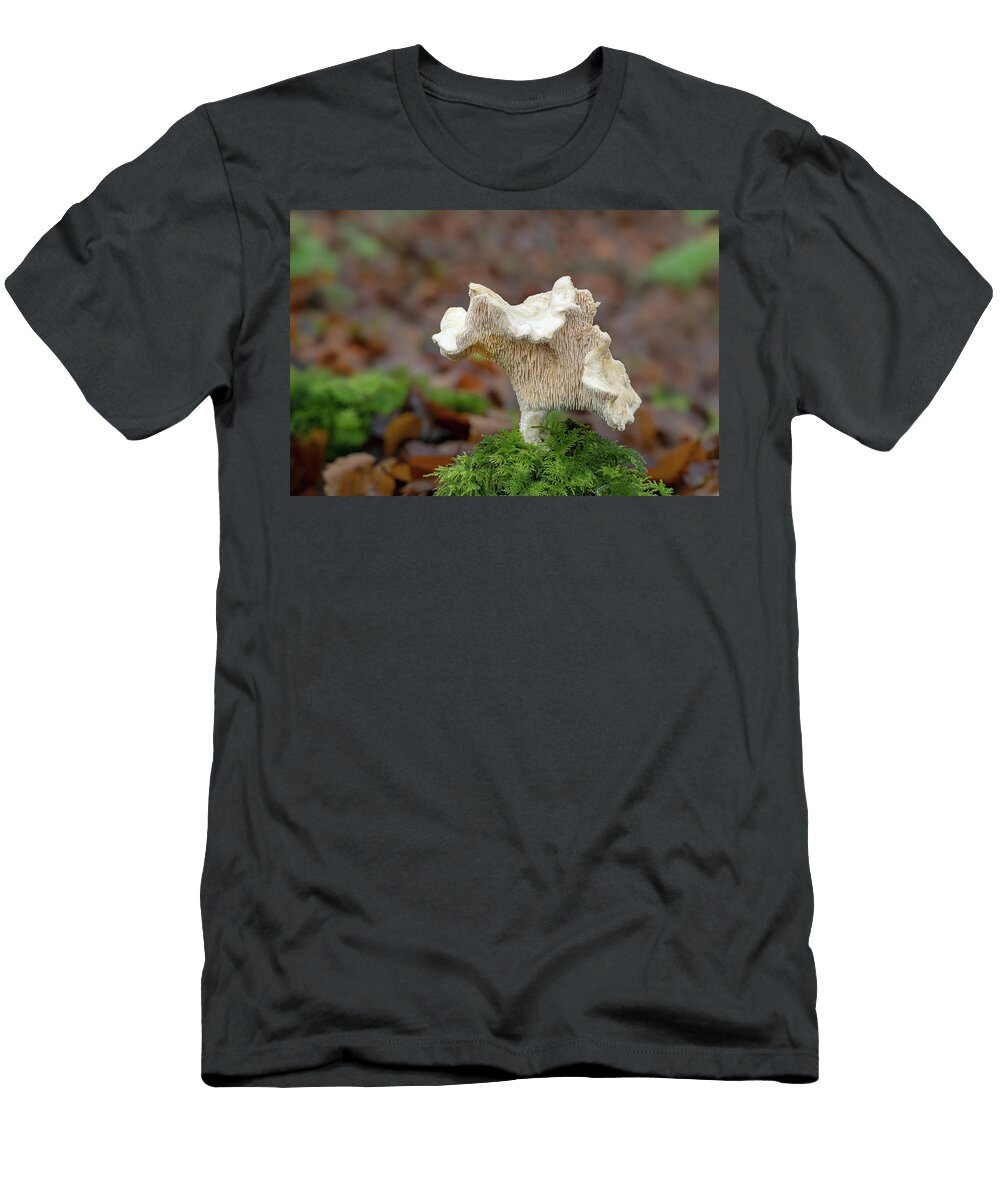 Wood Hedgehog Mushroom Growing on Moss Covered Stump Robert Thompson Natureplcom T-Shirt