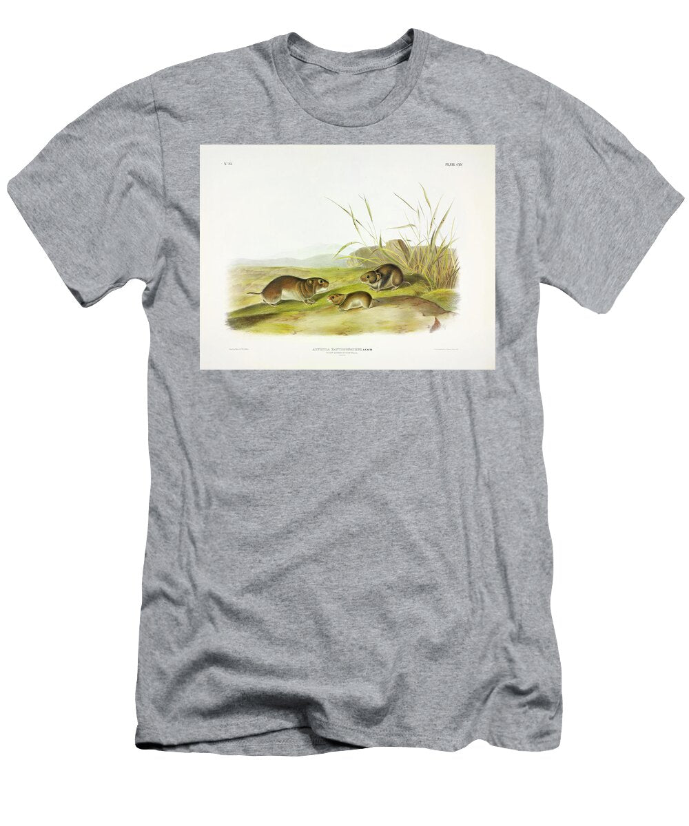Yellow Cheeked Meadow Mouse John James Audubon T-Shirt